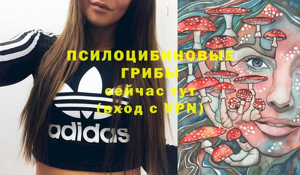 тгк Балабаново